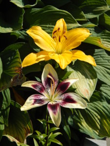 DSCN7125.JPG