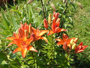 DSCN7210.JPG