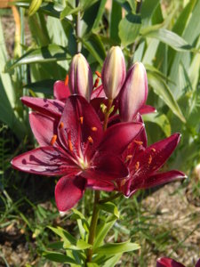 DSCN7186.JPG