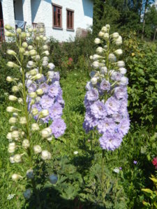 DSCN7172.JPG