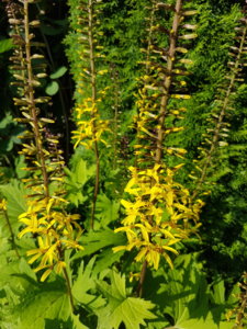 20180710_074811.jpg
