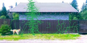 20180714_123753 вариант 4.jpg