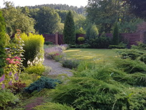 20180710_074344.jpg