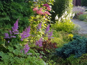 20180710_074438.jpg