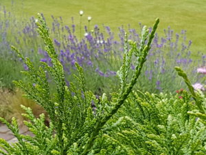 20180710_113504.jpg