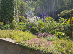 20180706_145025.jpg