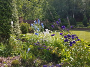 20180706_145043.jpg