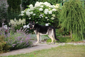 IMG_7567.JPG