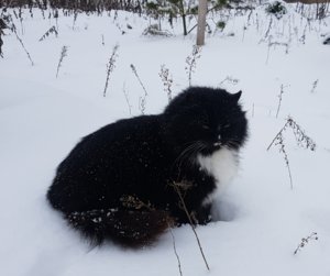 20180123_113250.jpg