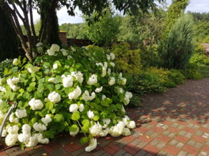 20180719_171540.jpg