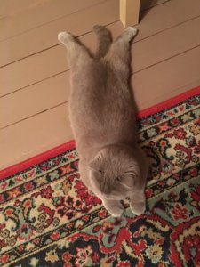 Bqx_CmwwWWc.jpg