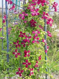 20180724_100856.jpg