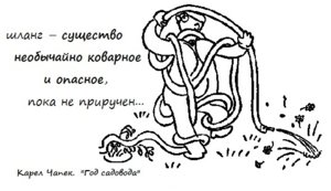 чапек.jpg