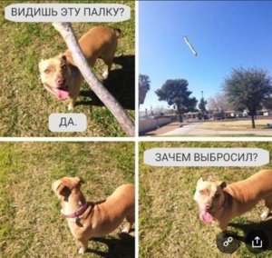 зачем выбросил..JPG