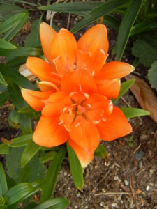DSCN7668.JPG