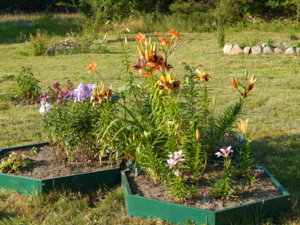 DSCN7489.JPG