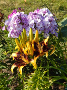 DSCN7492.JPG