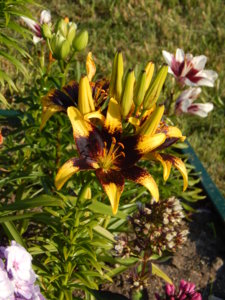 DSCN7508.JPG