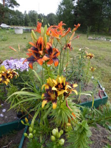 DSCN7627.JPG