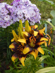 DSCN7632.JPG