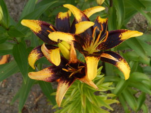 DSCN7634.JPG