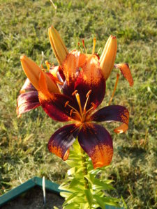 DSCN7496.JPG