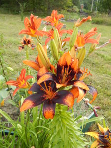 DSCN7631.JPG