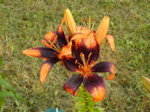 DSCN7635.JPG