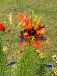 DSCN7641.JPG