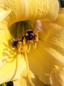 20180728_105557.jpg