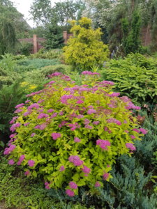 20180621_195042.jpg