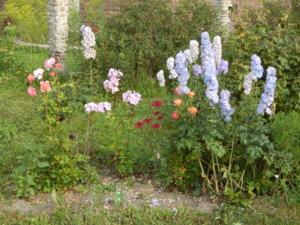 DSCN7601.JPG