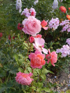 DSCN7610.JPG