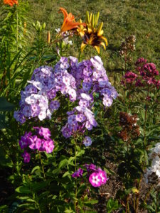 DSCN7498.JPG