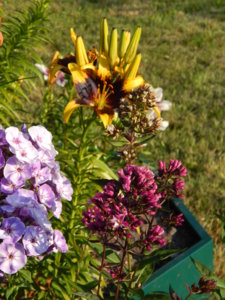 DSCN7501.JPG