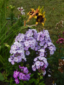 DSCN7636.JPG