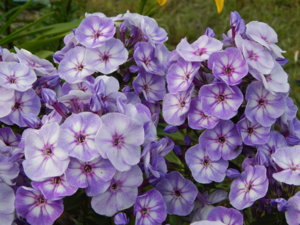 DSCN7640.JPG