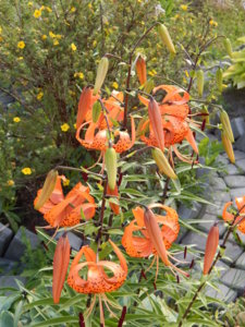 DSCN7592.JPG