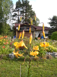 DSCN7597.JPG