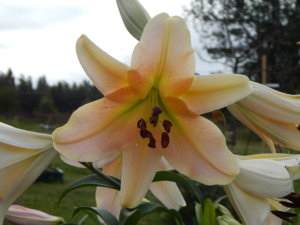 DSCN7693.JPG