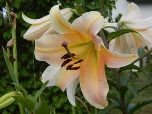 DSCN7694.JPG