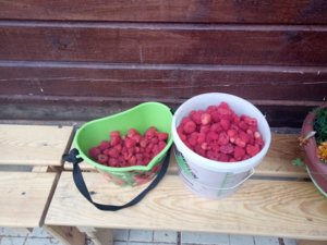 IMG_20180724_105329.jpg