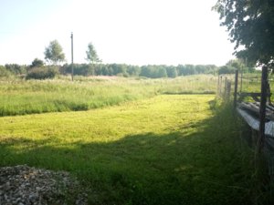 IMG_20180731_173023.jpg