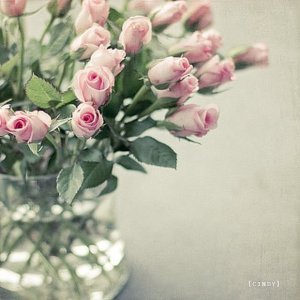 post116676_img1.jpg