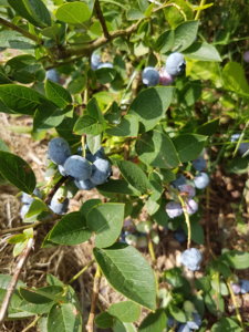 20180801_131415.jpg