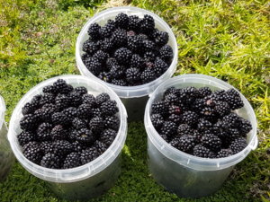 20180801_132849.jpg