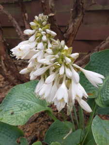 20180715_114057.jpg