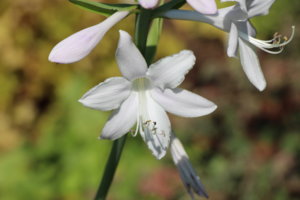 IMG_8780.JPG