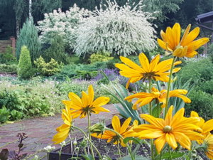 20180719_205745.jpg