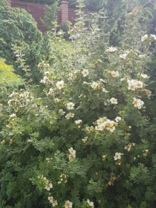 20180722_181822.jpg